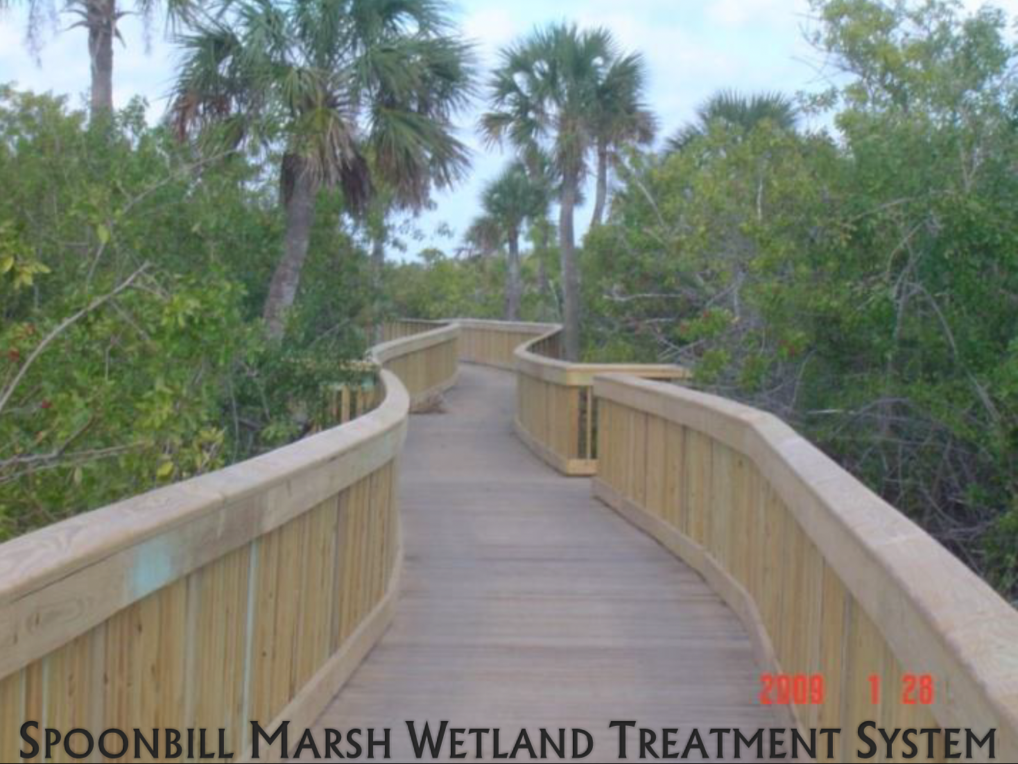 Spoonbill Marsh Wetland Treatment System